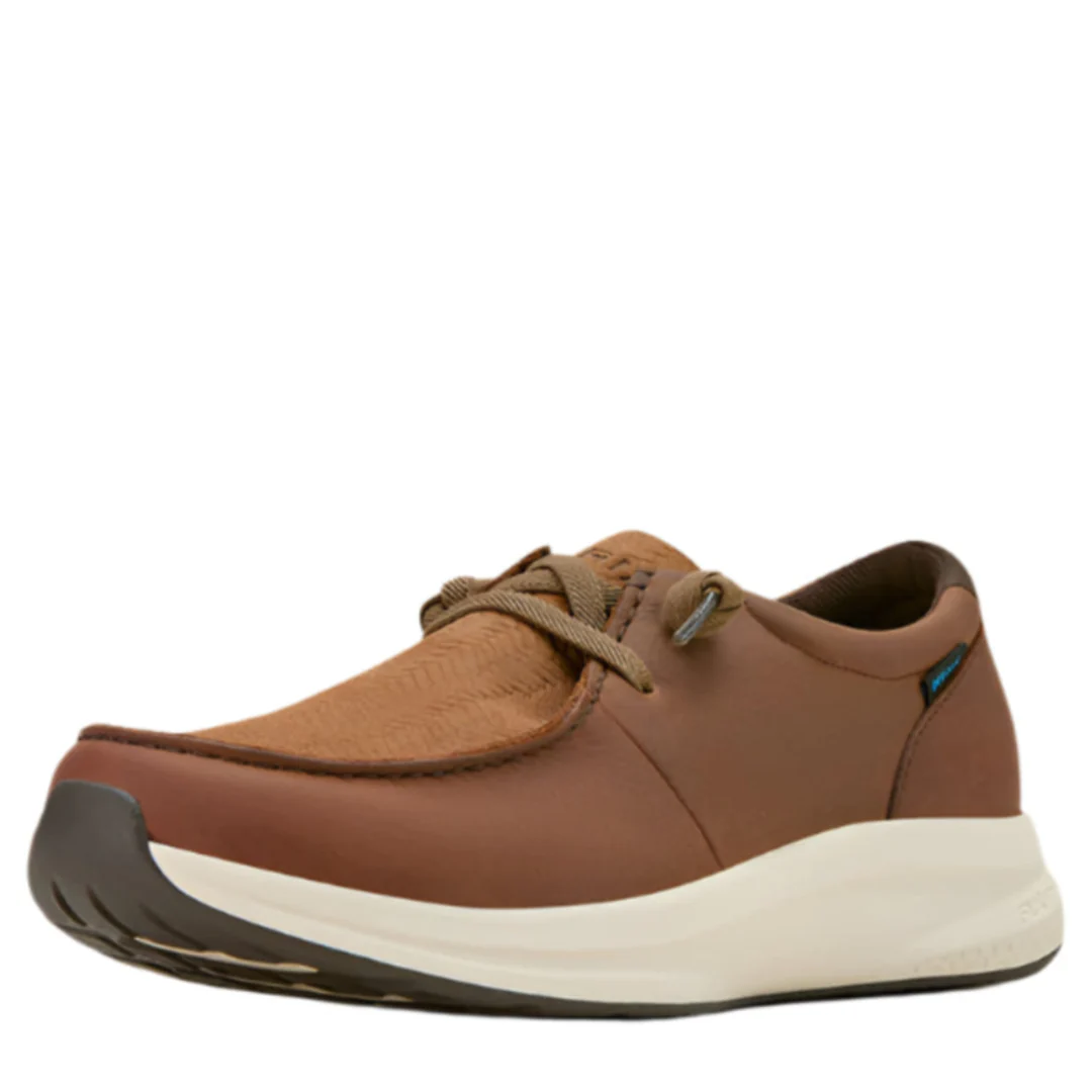 Ariat Men's Buckeye Waterproof Shoe