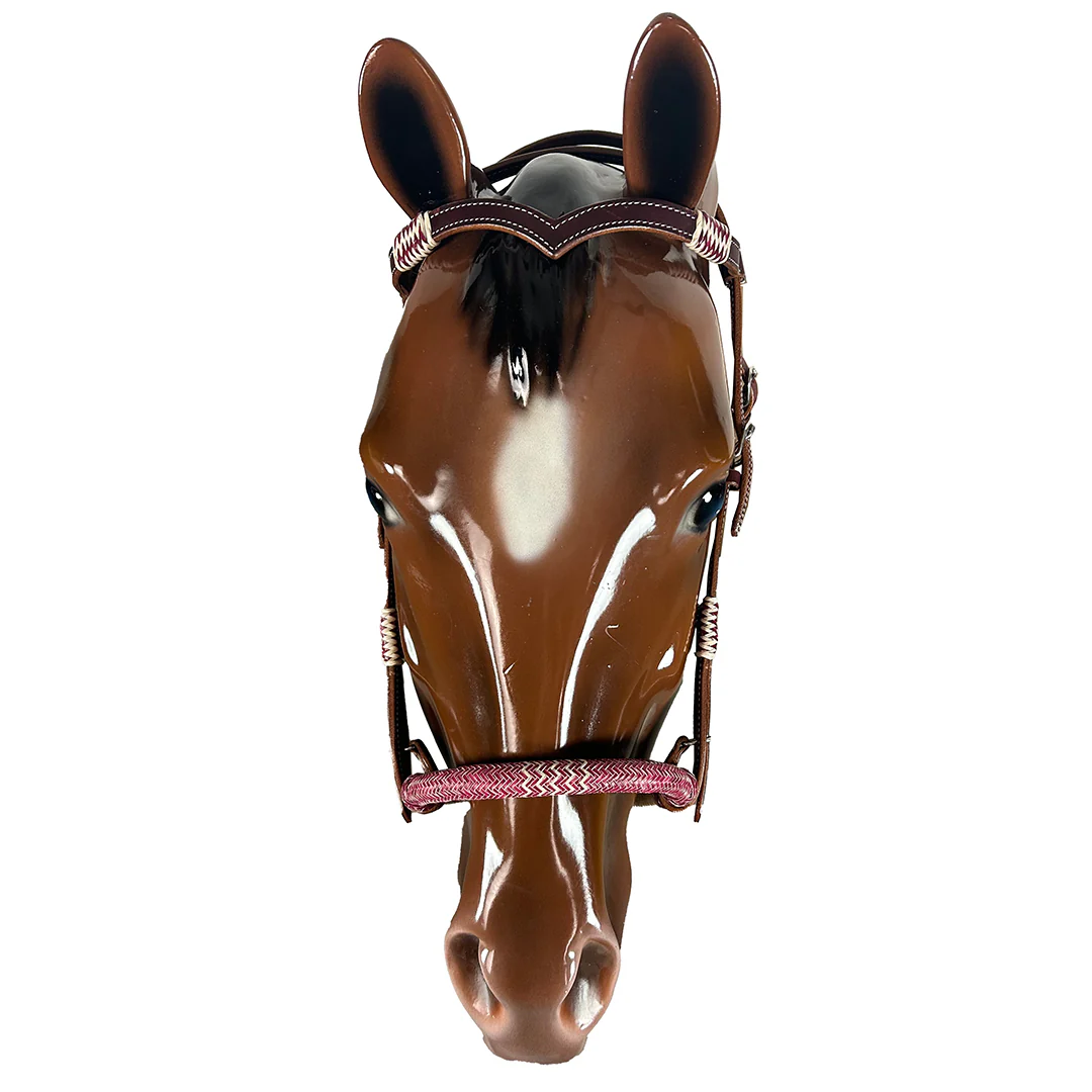 Cowboy Collection Headstall with Reins