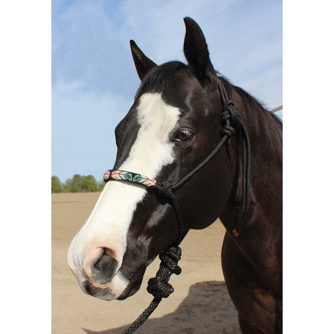 Professional's Choice Beaded Rope Halter