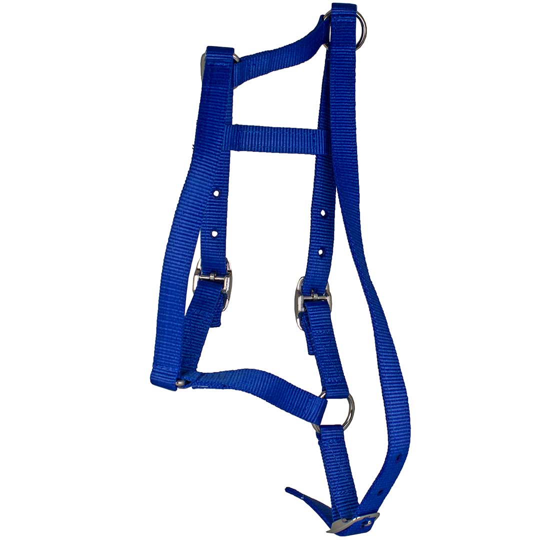 Western Rawhide Nylon Pony Halter
