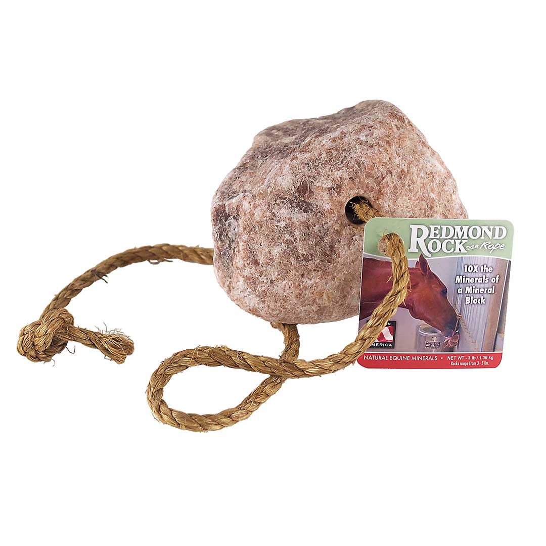 Redmond Rock on a Rope