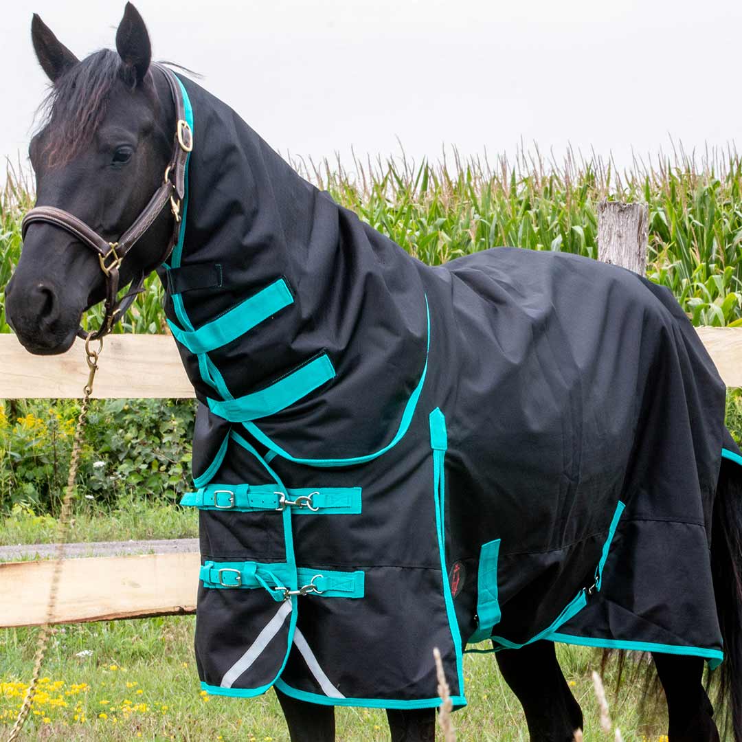 Tech Equestrian Winter Turnout Blanket With Detachable Hood - 350GSM
