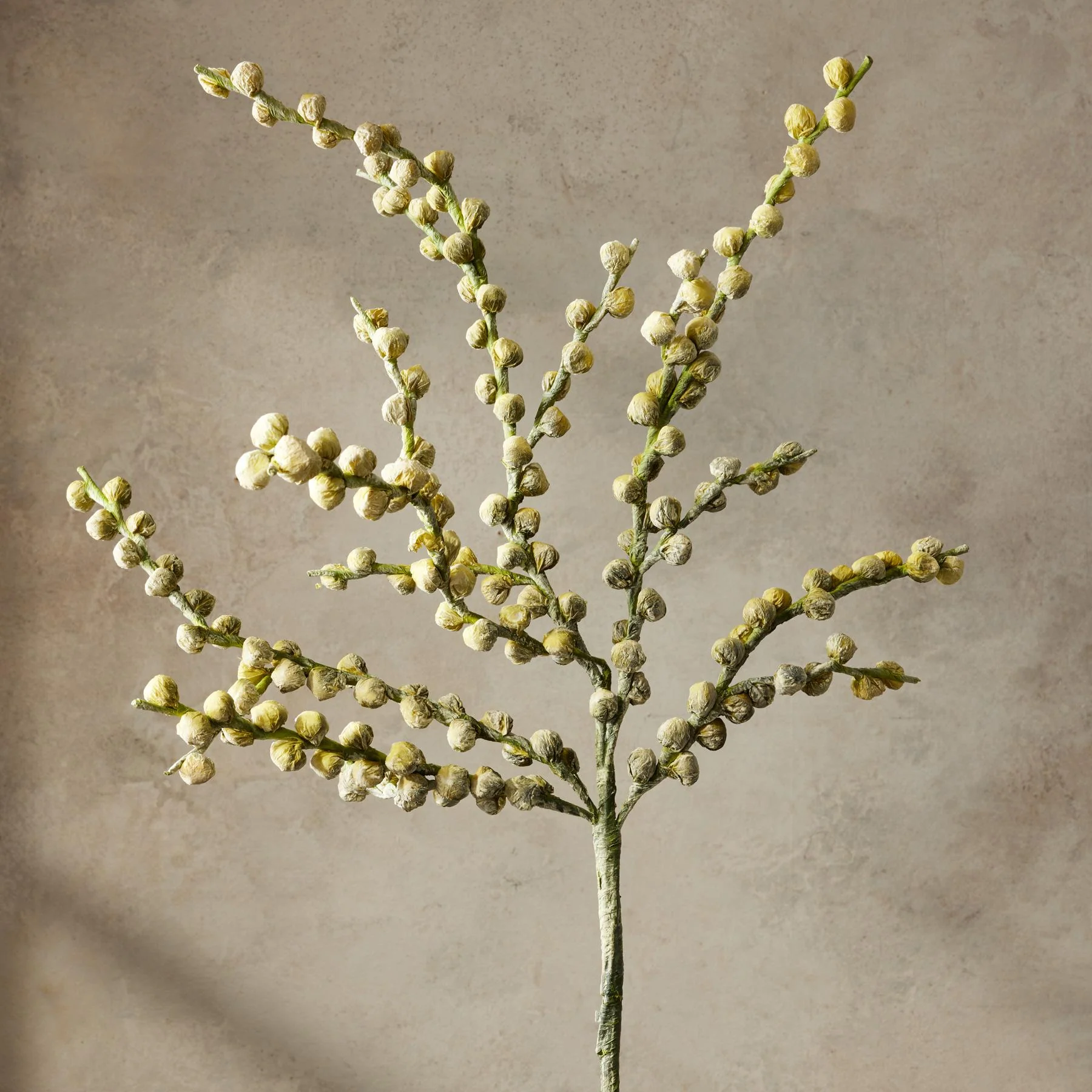 Bountiful Botanicals