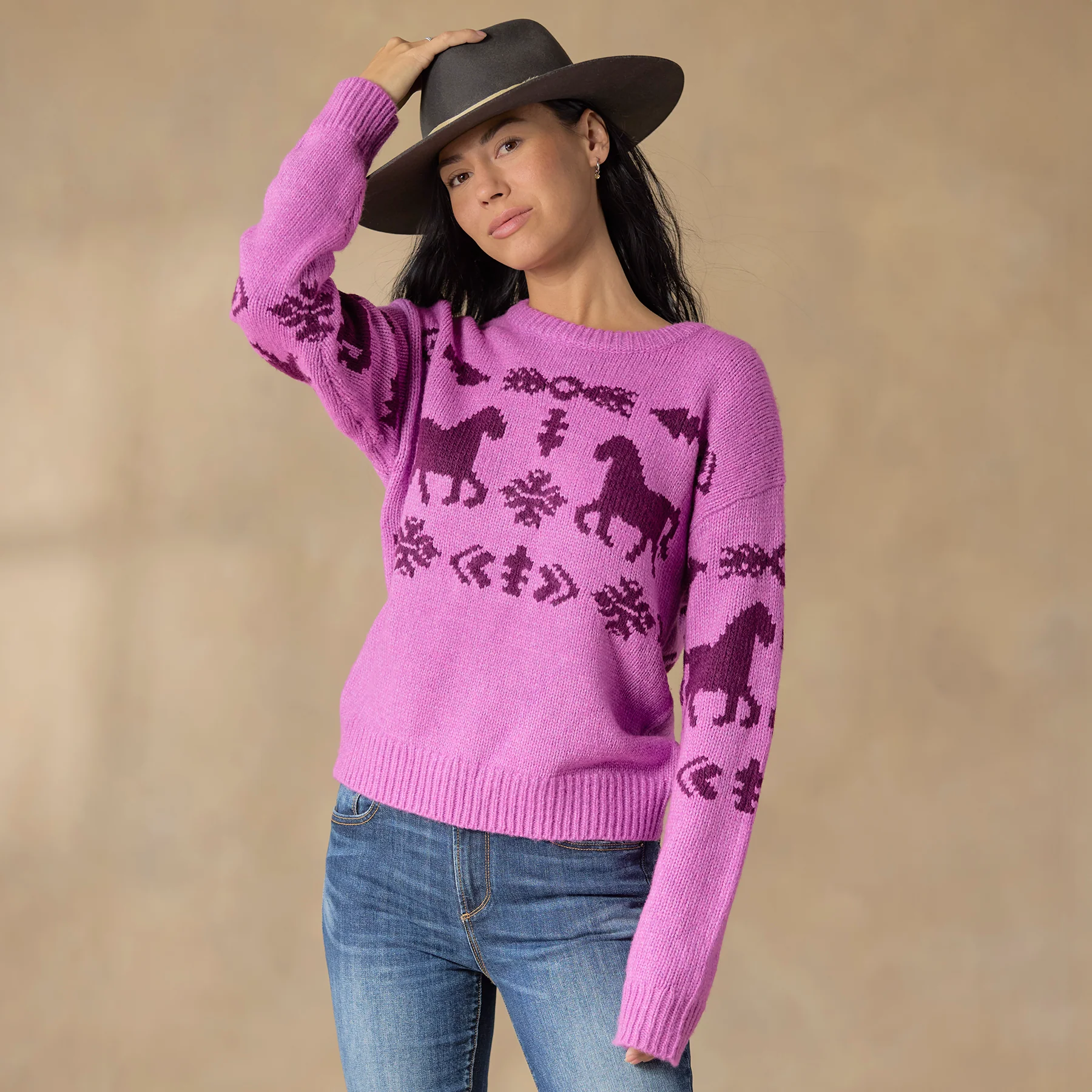 Spirited Horse Sweater