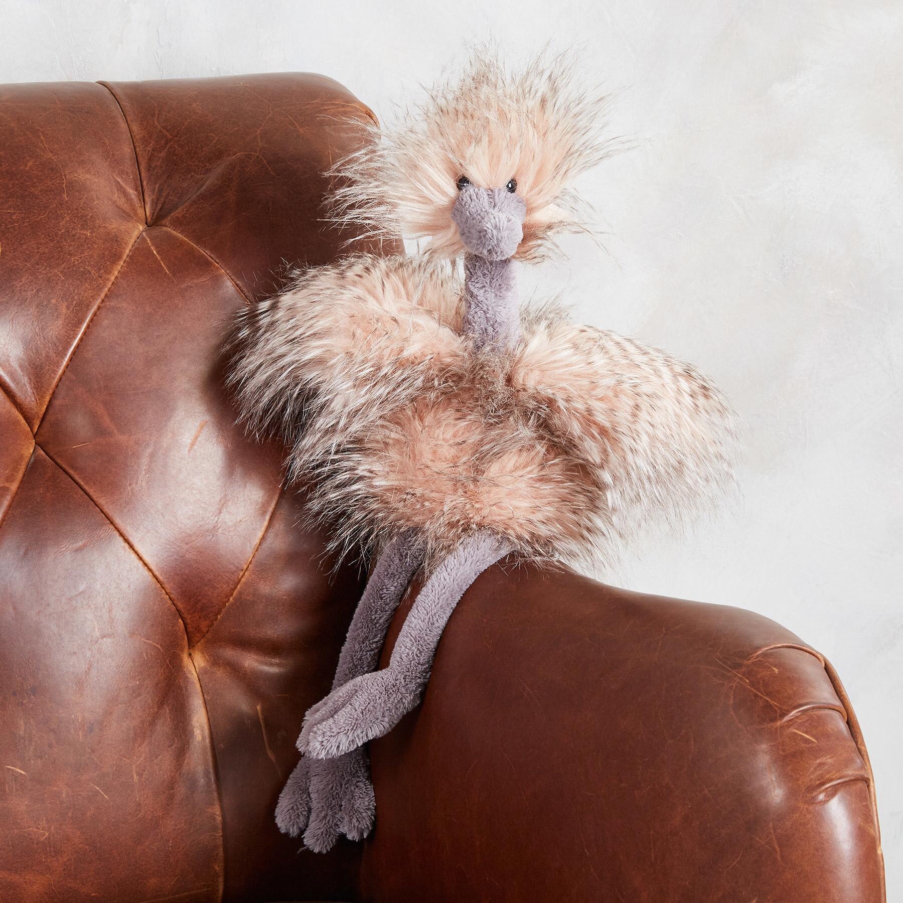 Odette The Ostrich