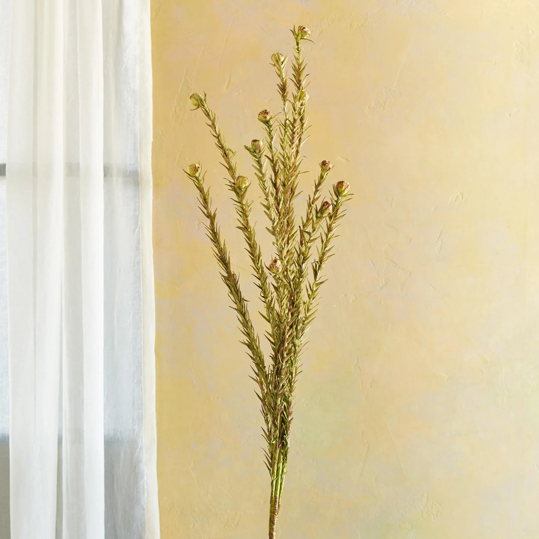 Bountiful Botanicals