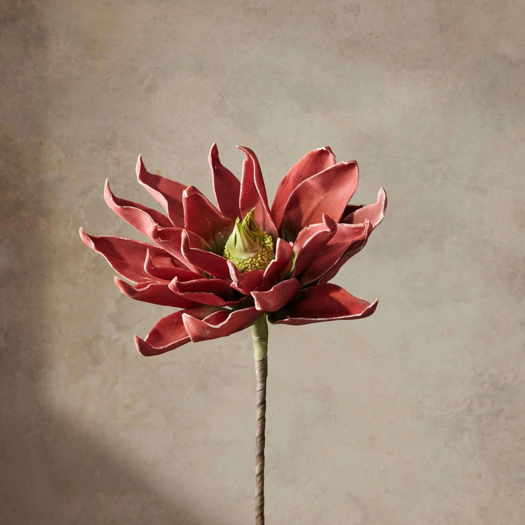 Bountiful Botanicals