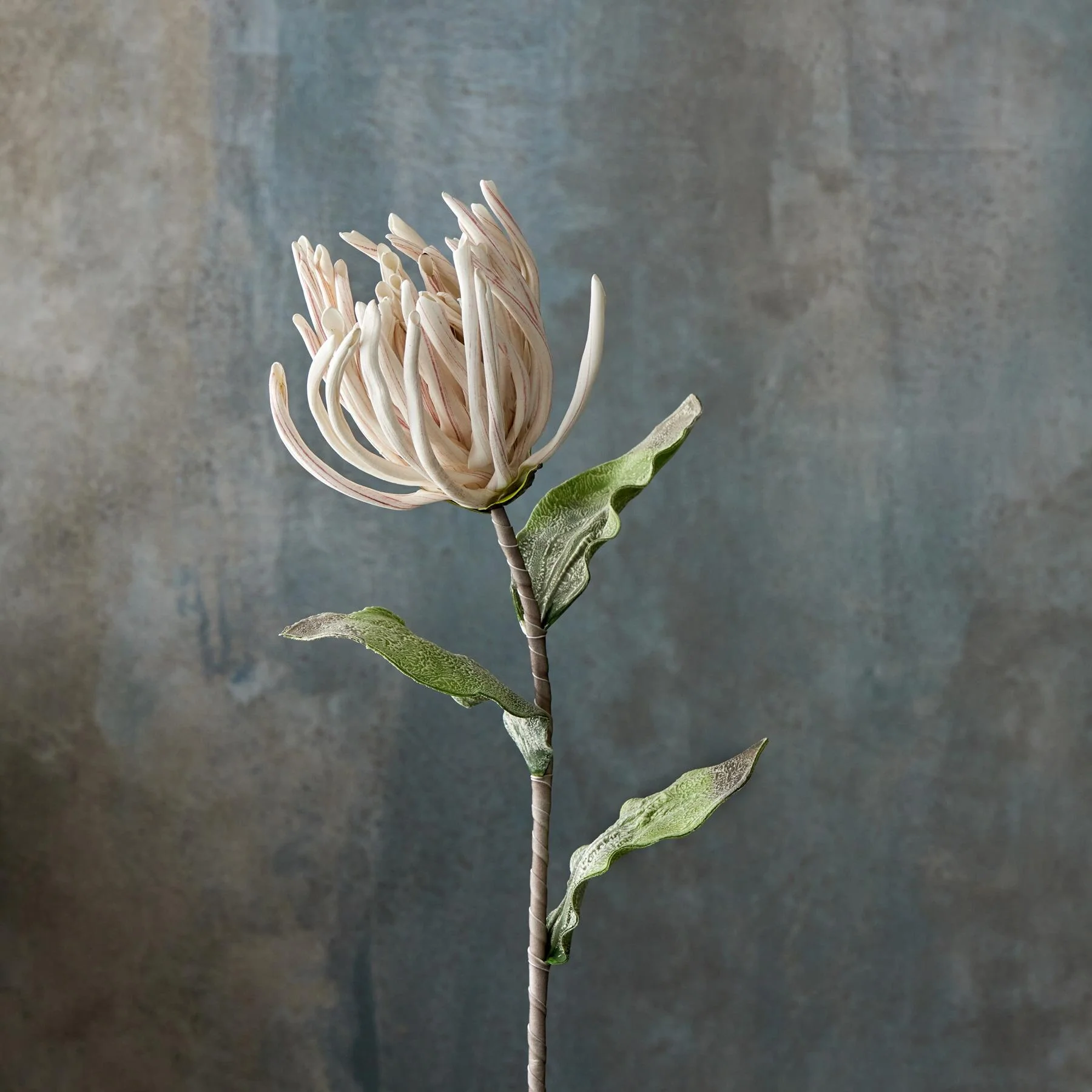 Bountiful Botanicals