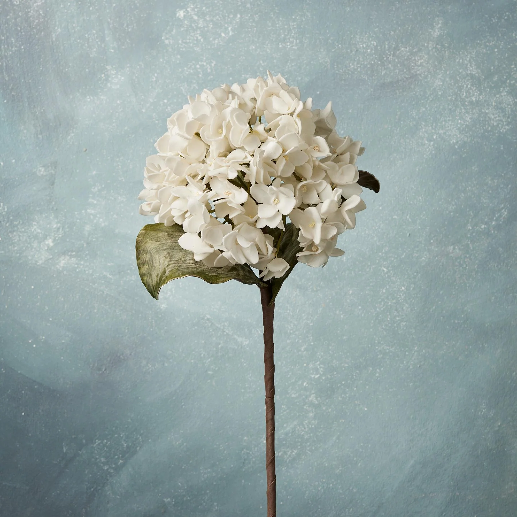 Bountiful Botanicals