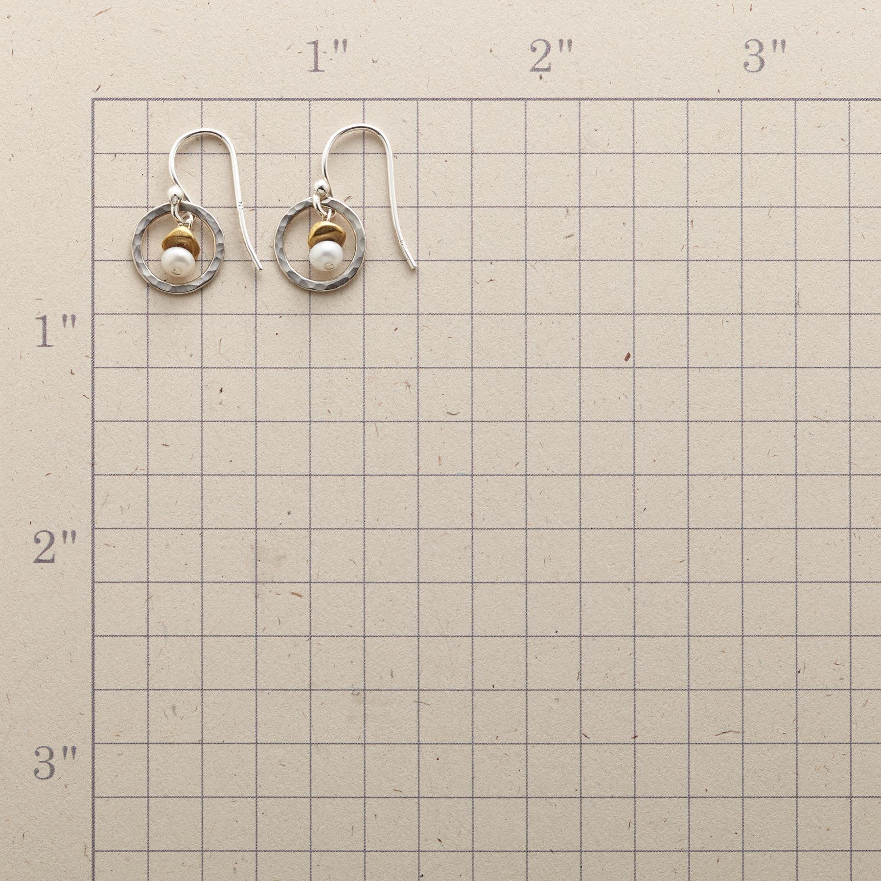 Everywhere Earrings