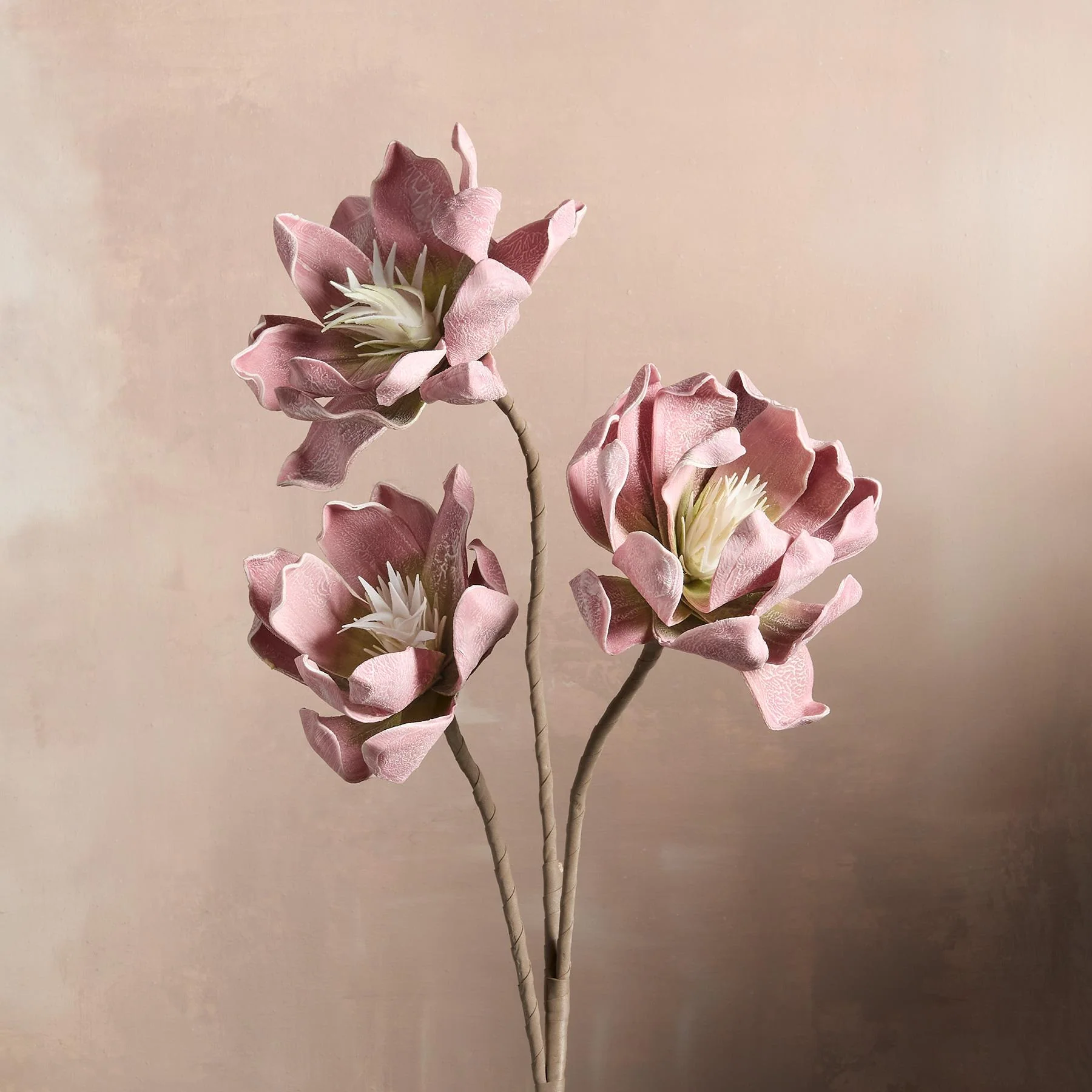 Bountiful Botanicals