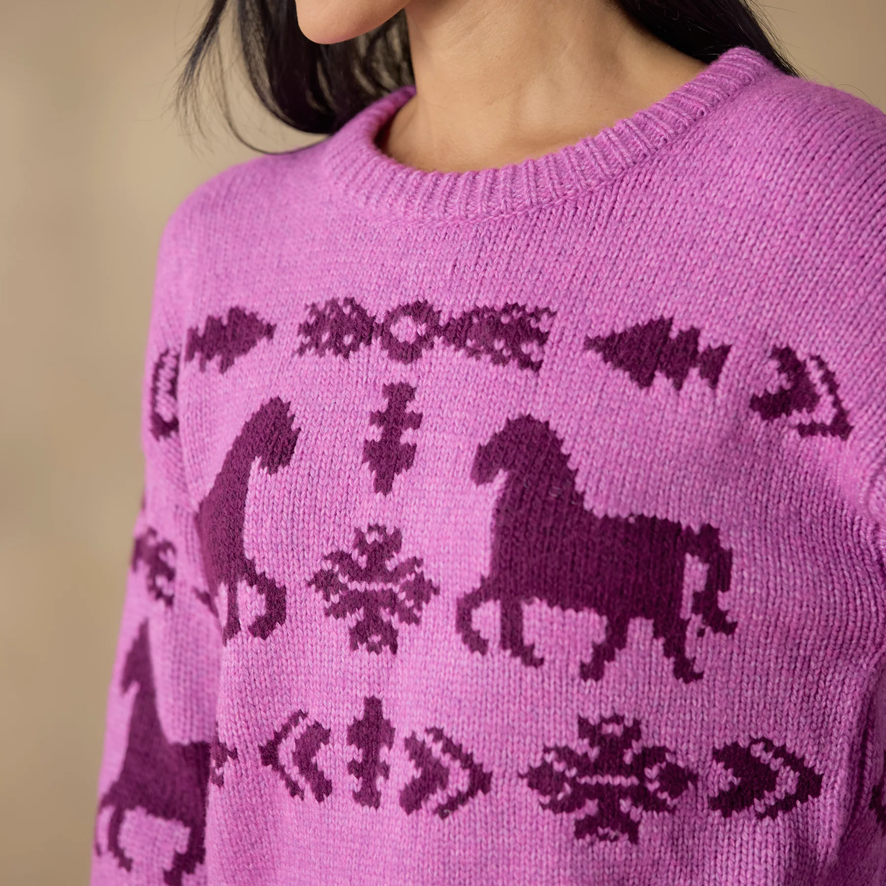 Spirited Horse Sweater