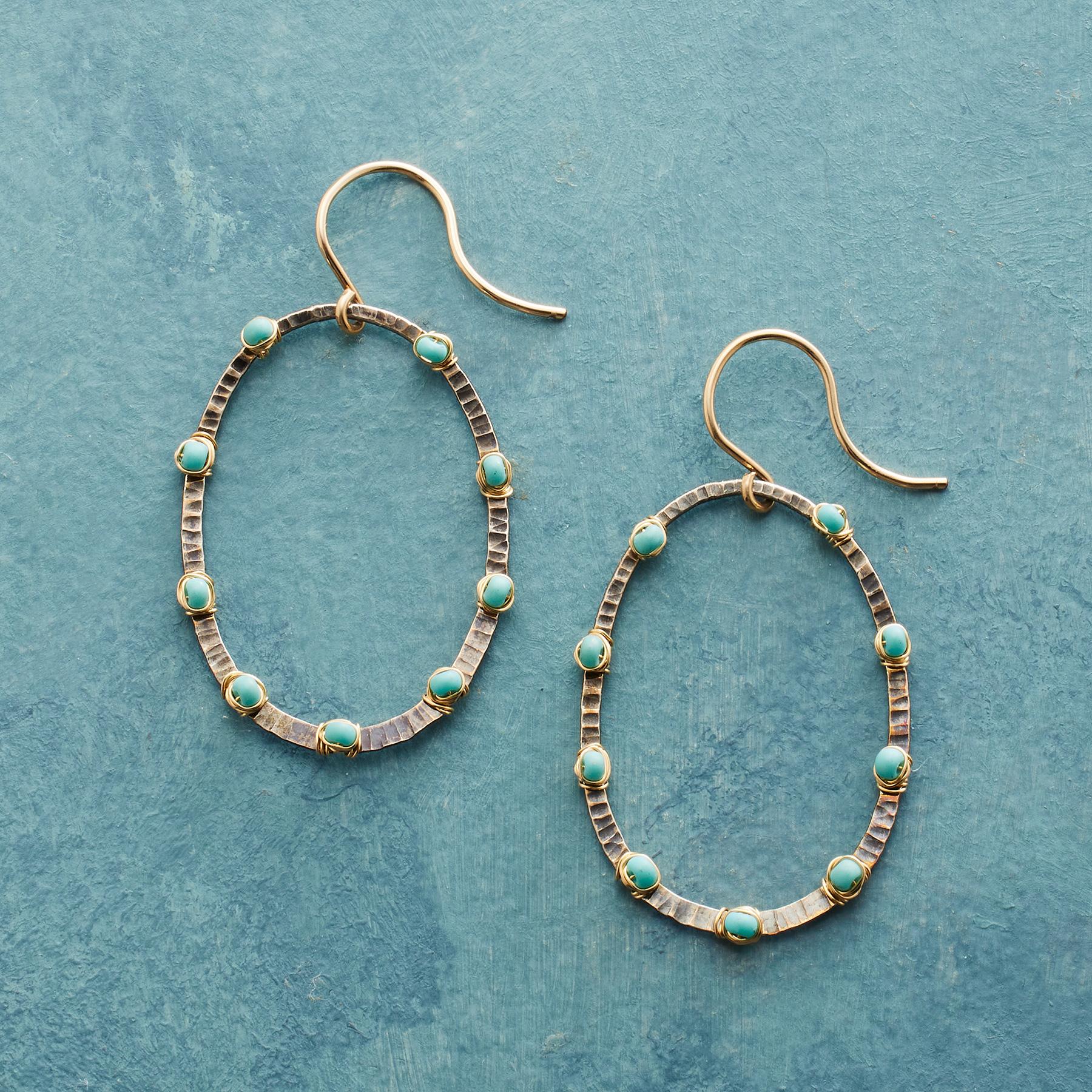 Chart The Course Earrings