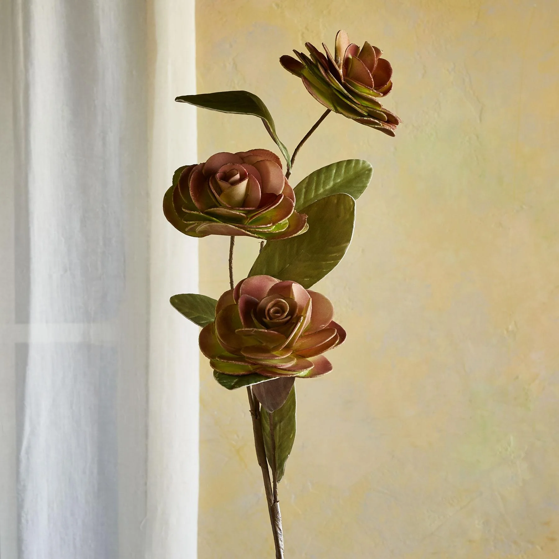 Bountiful Botanicals