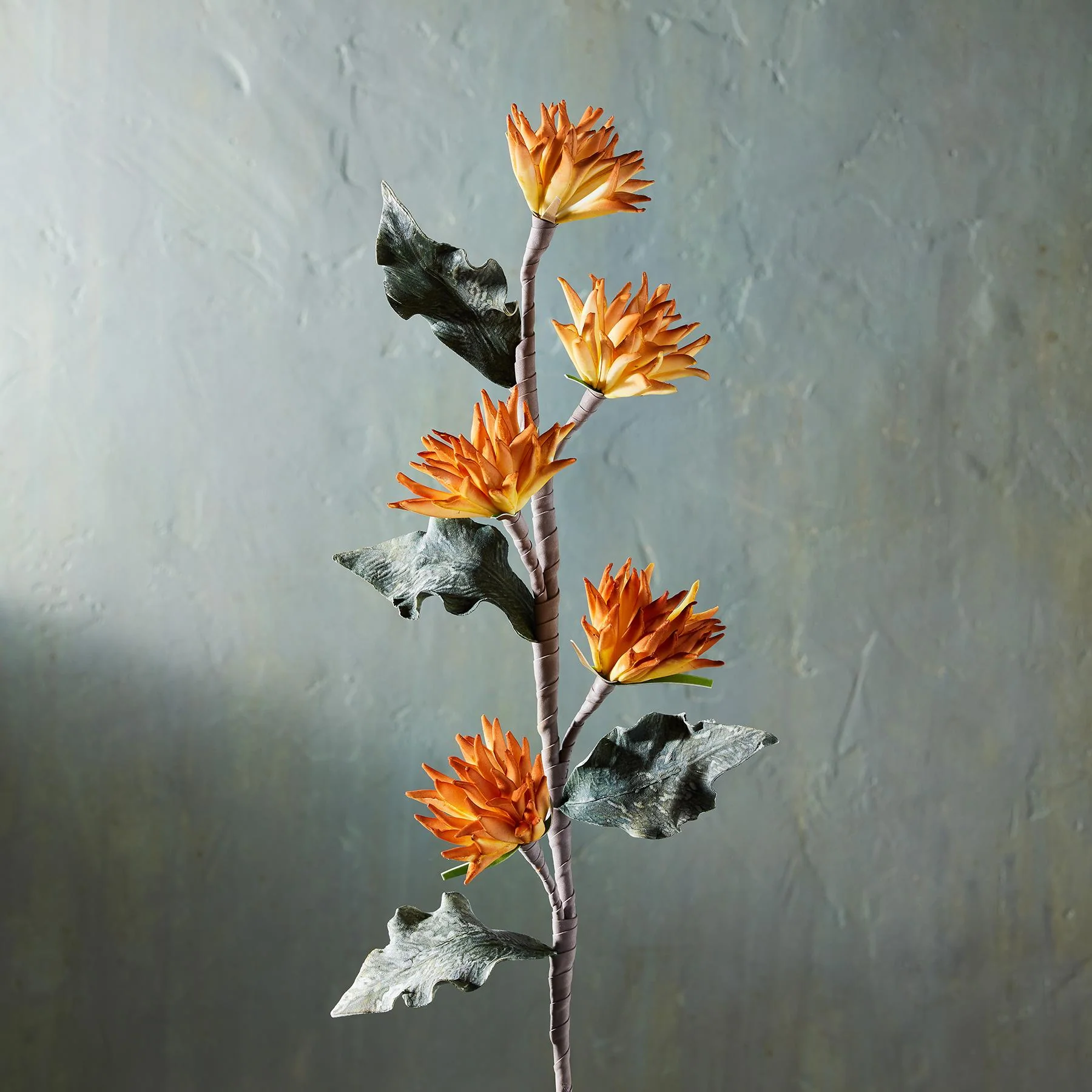 Bountiful Botanicals