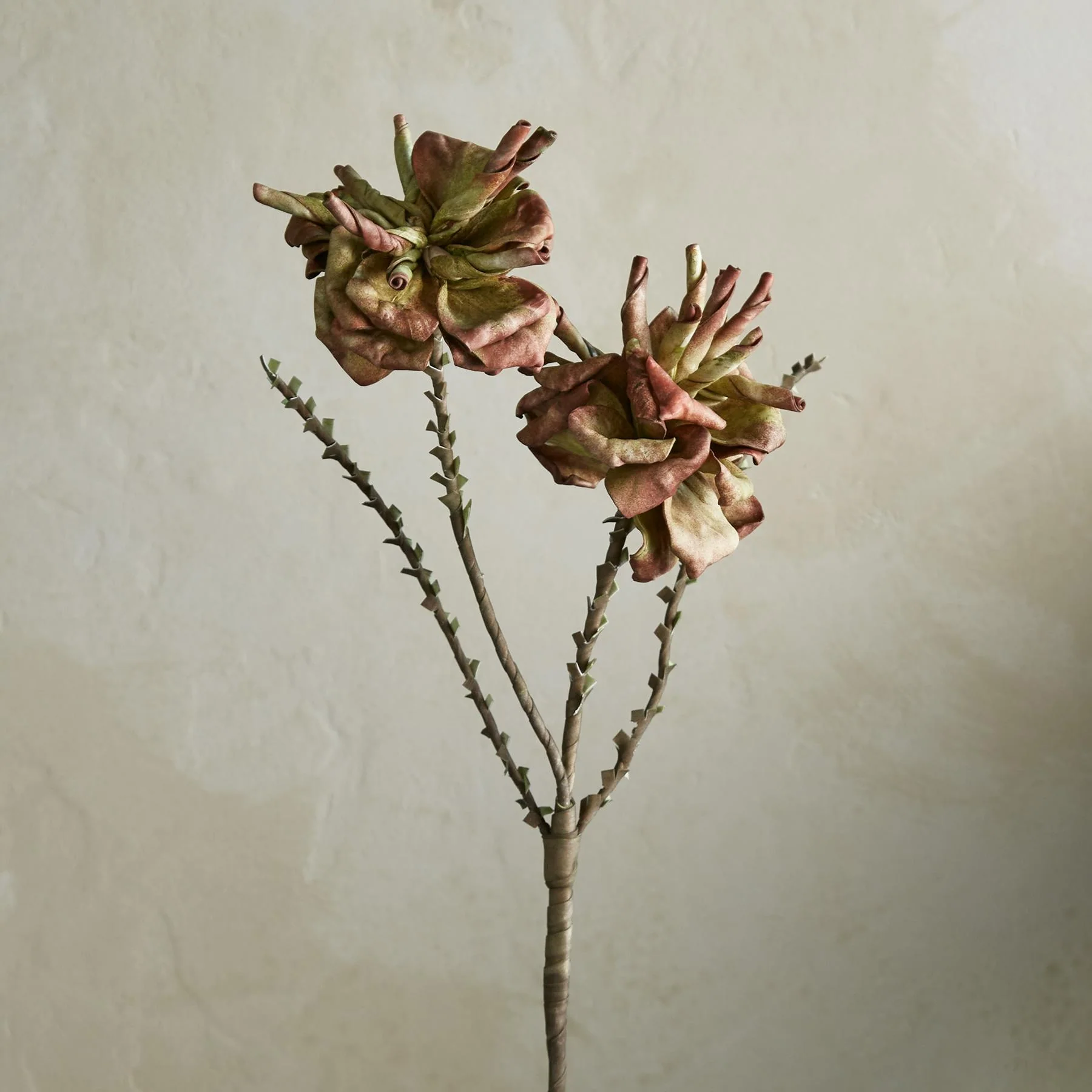 Bountiful Botanicals