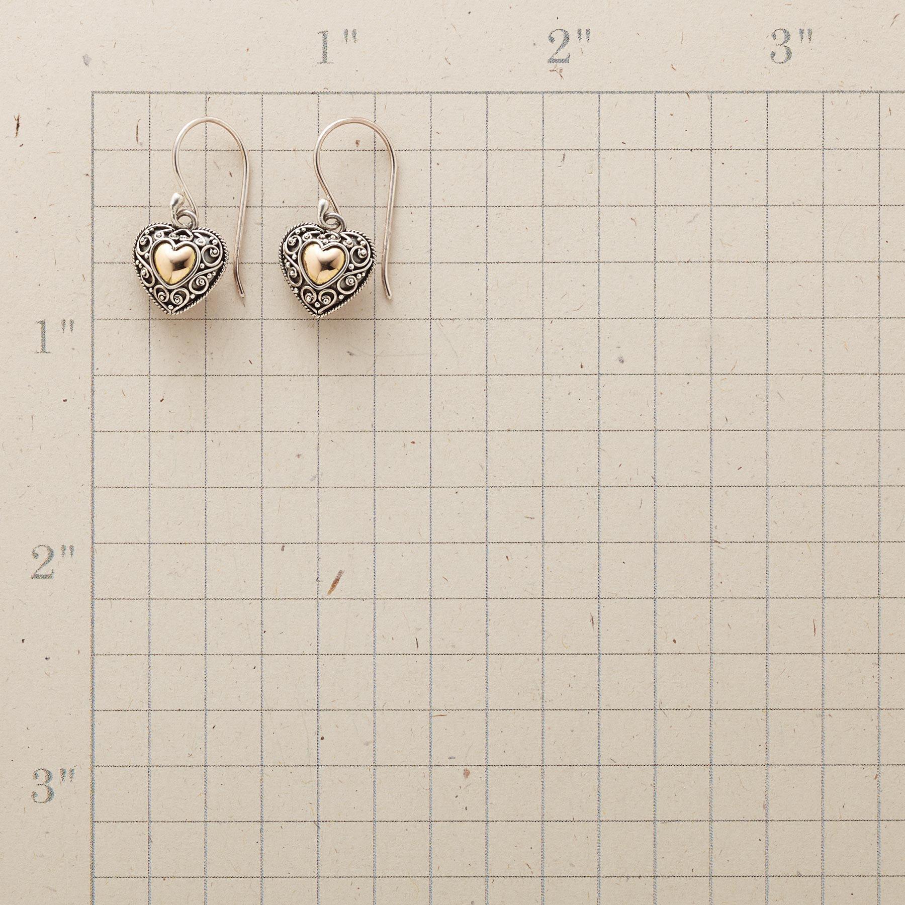 Full Heart Earrings