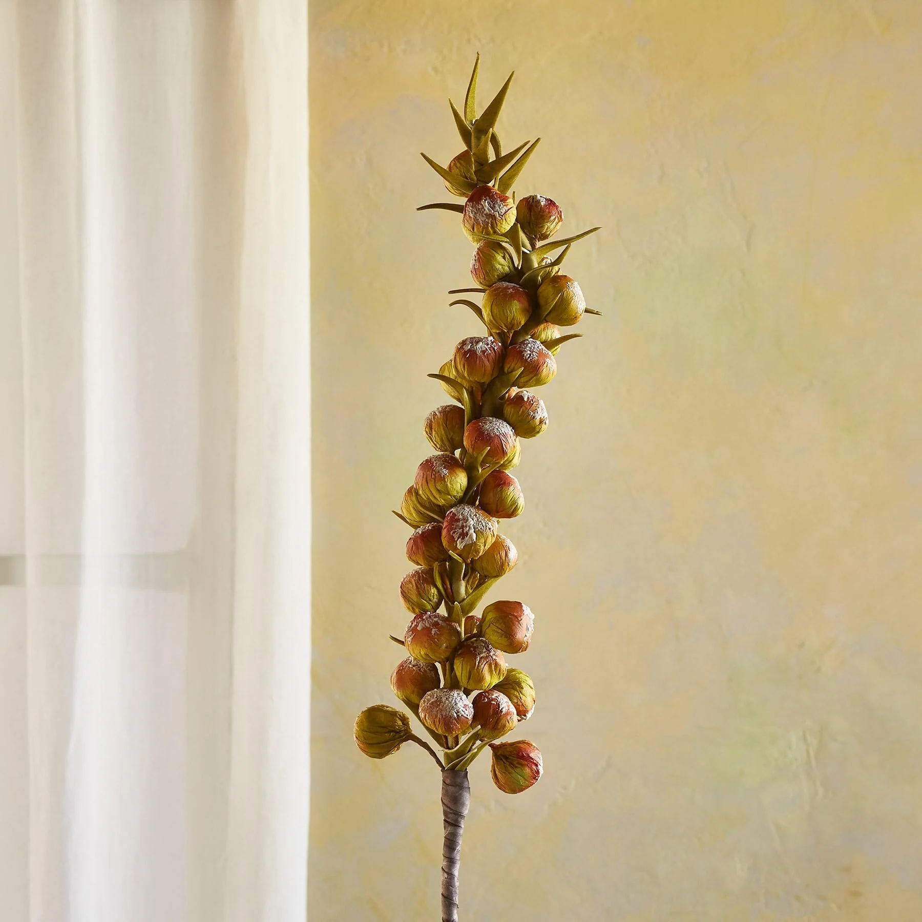 Bountiful Botanicals