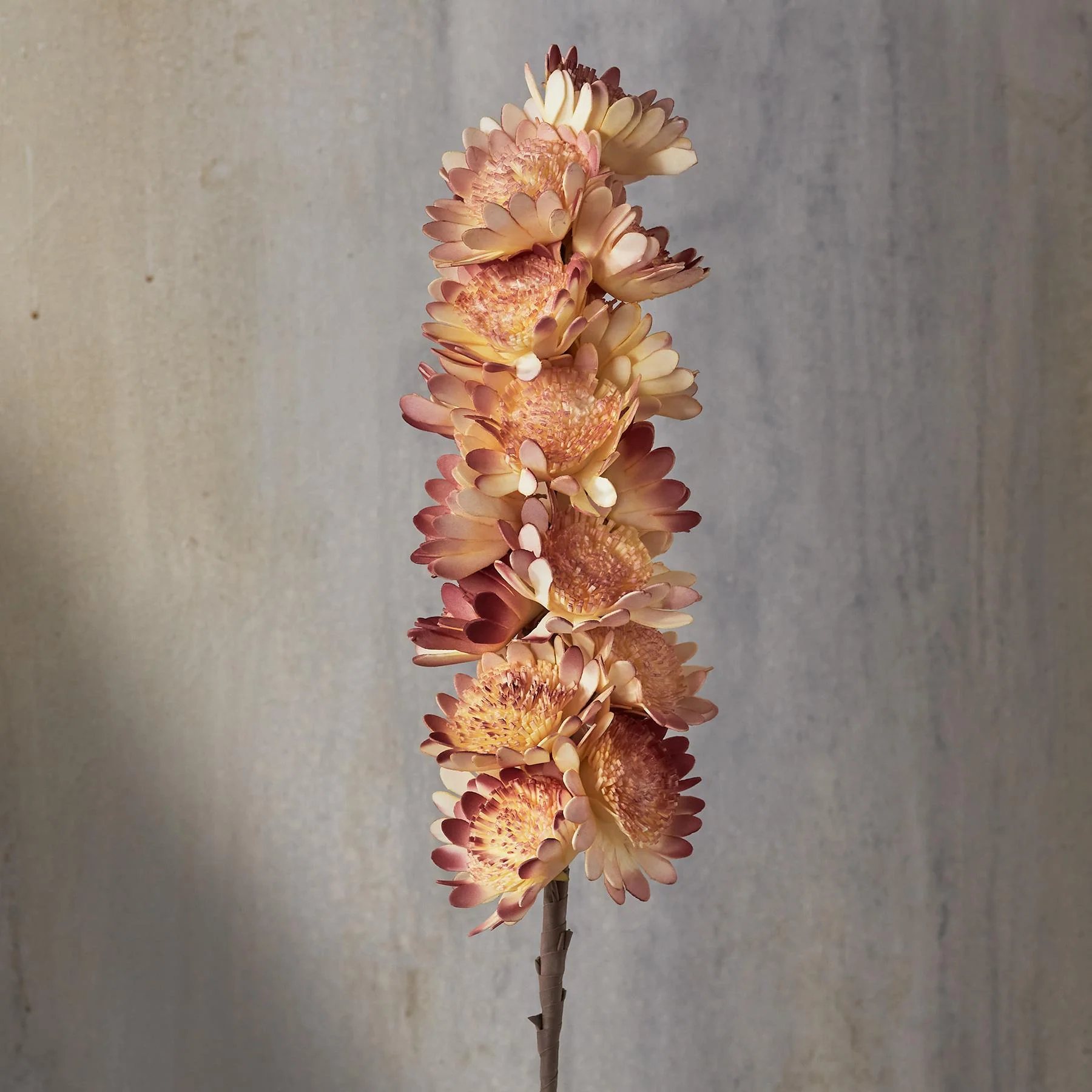 Bountiful Botanicals