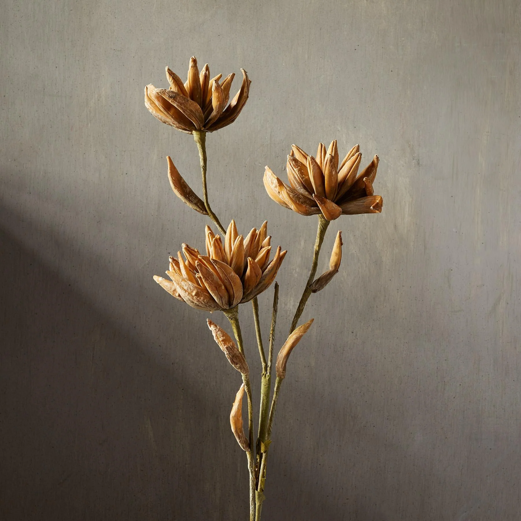 Bountiful Botanicals