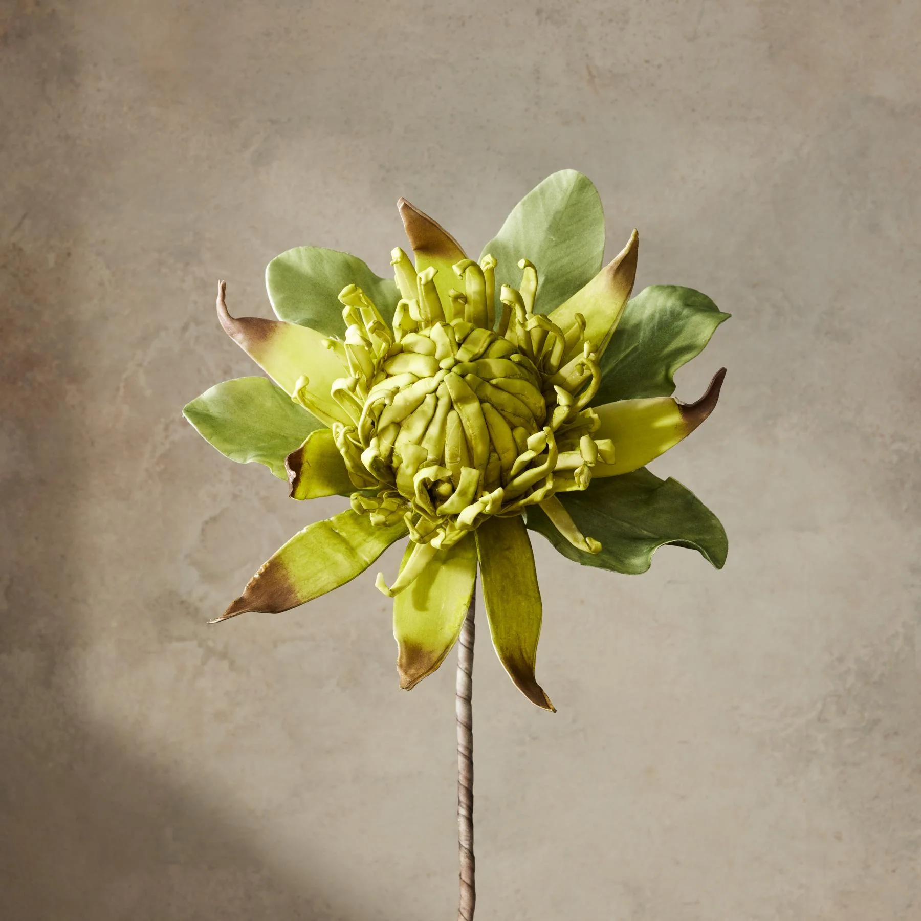 Bountiful Botanicals