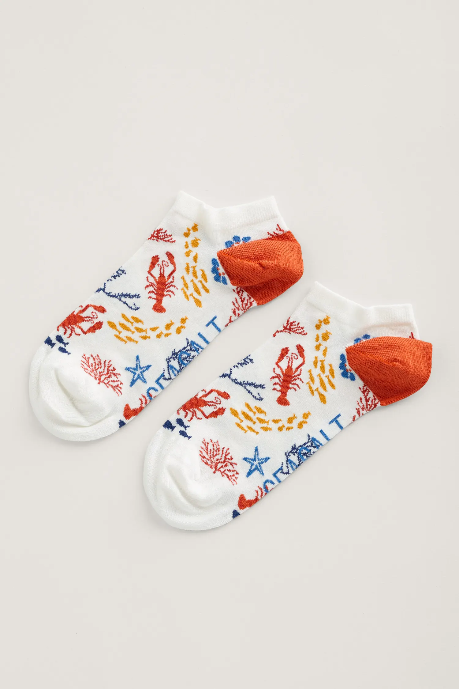 Women's Arty Trainer Socks