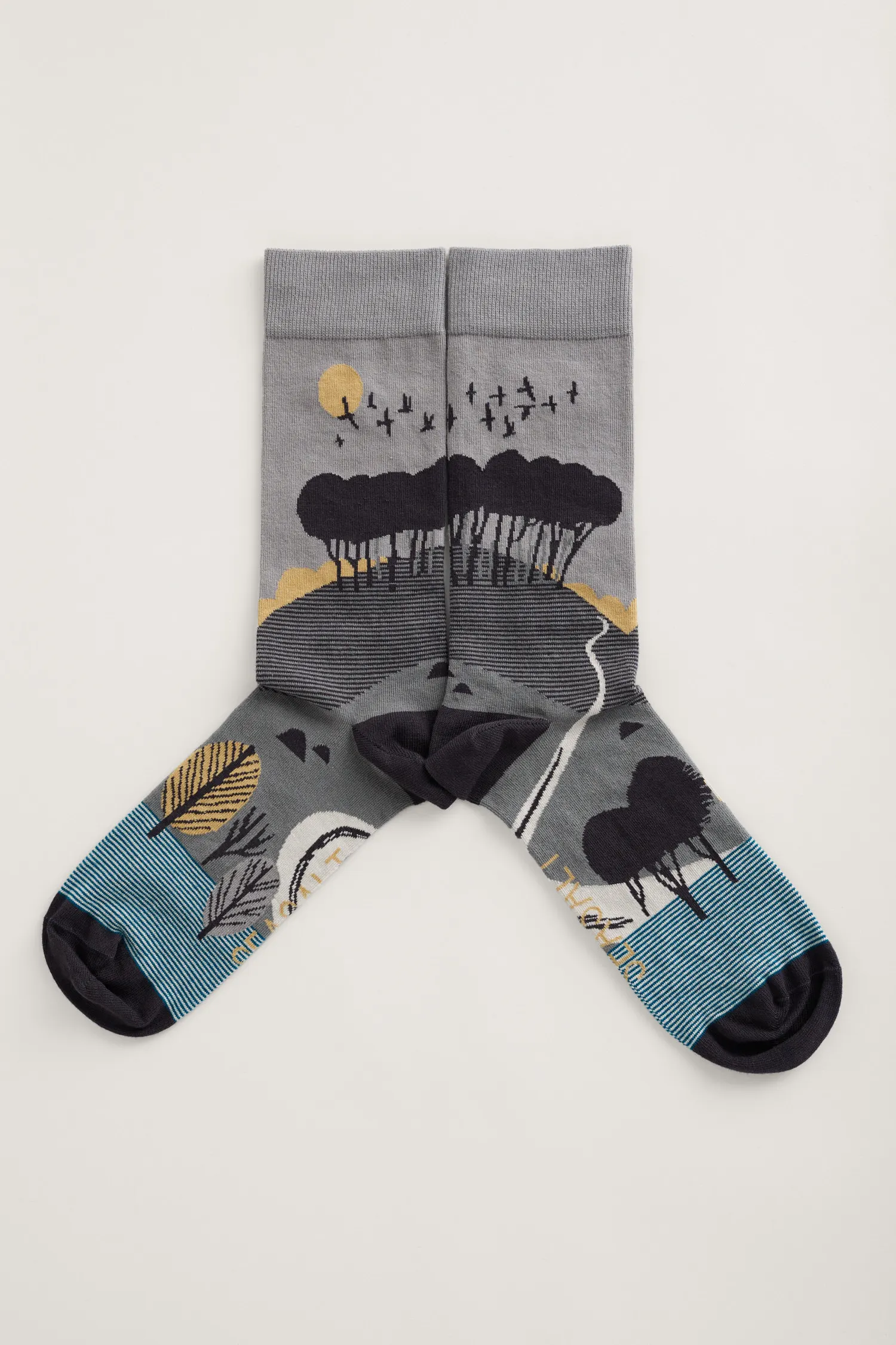 Men's Postcard Socks