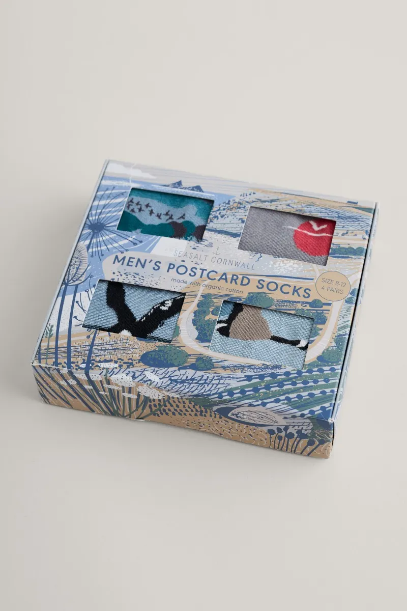 Box of 4 Men's Postcard Socks