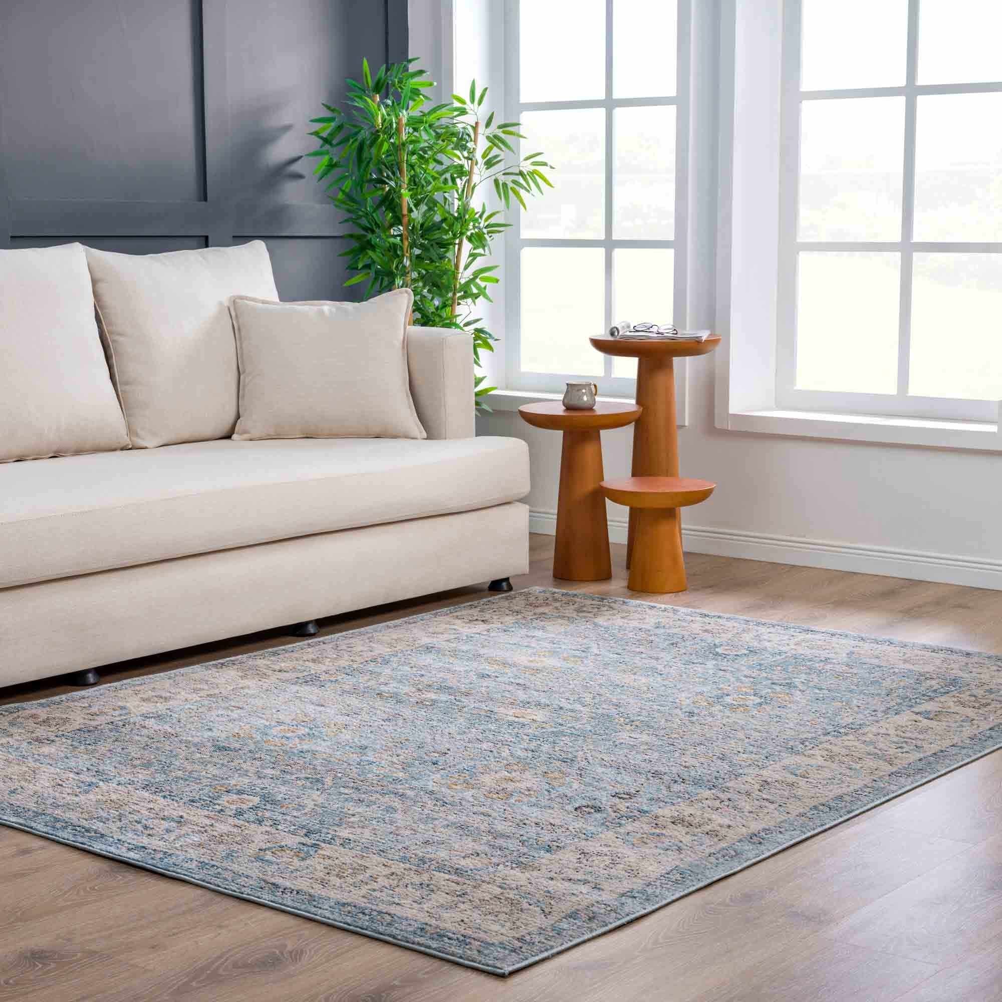 Boutique Rugs - Anana Silver Blue & Beige Area Rug