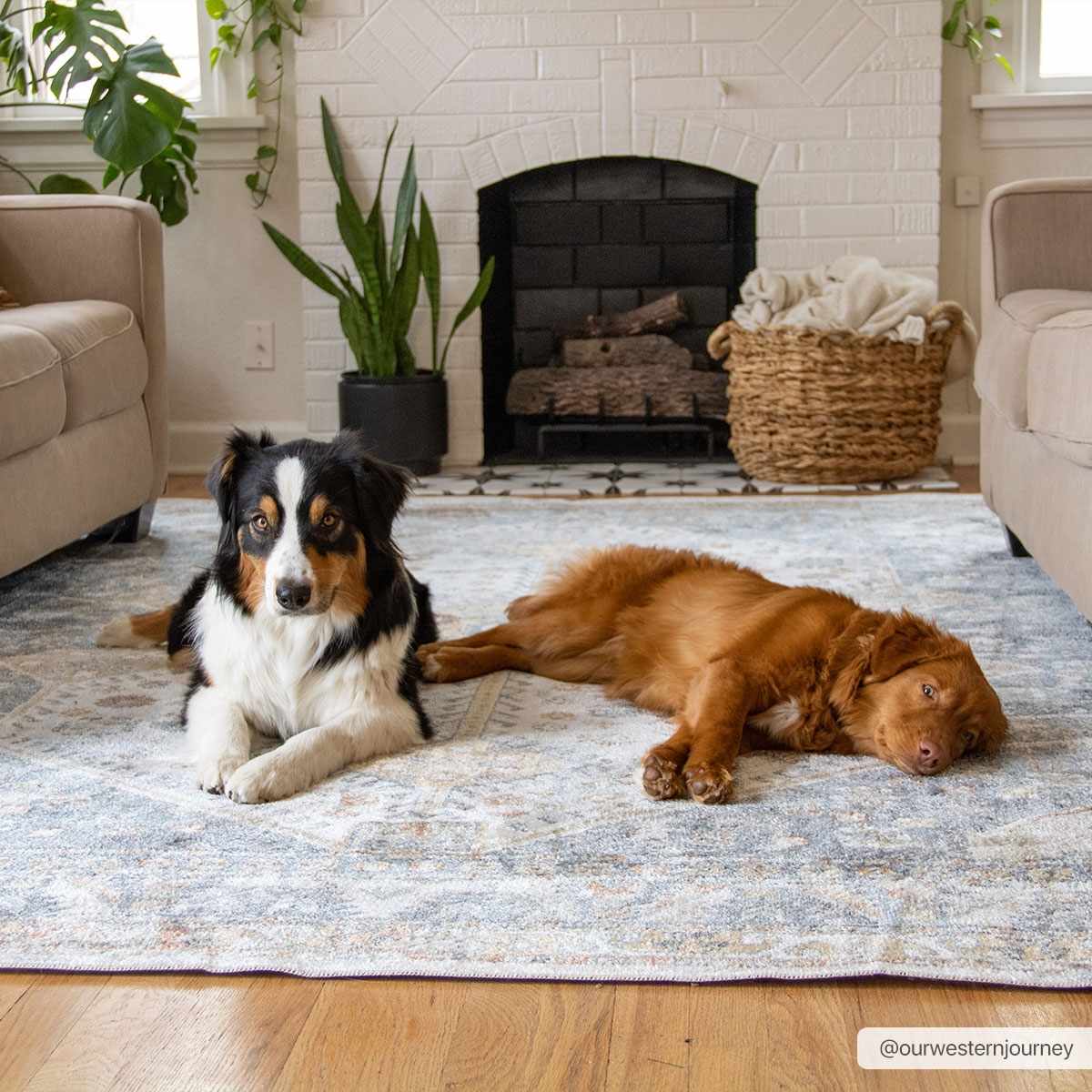 Boutique Rugs - Afya Washable Area Rug