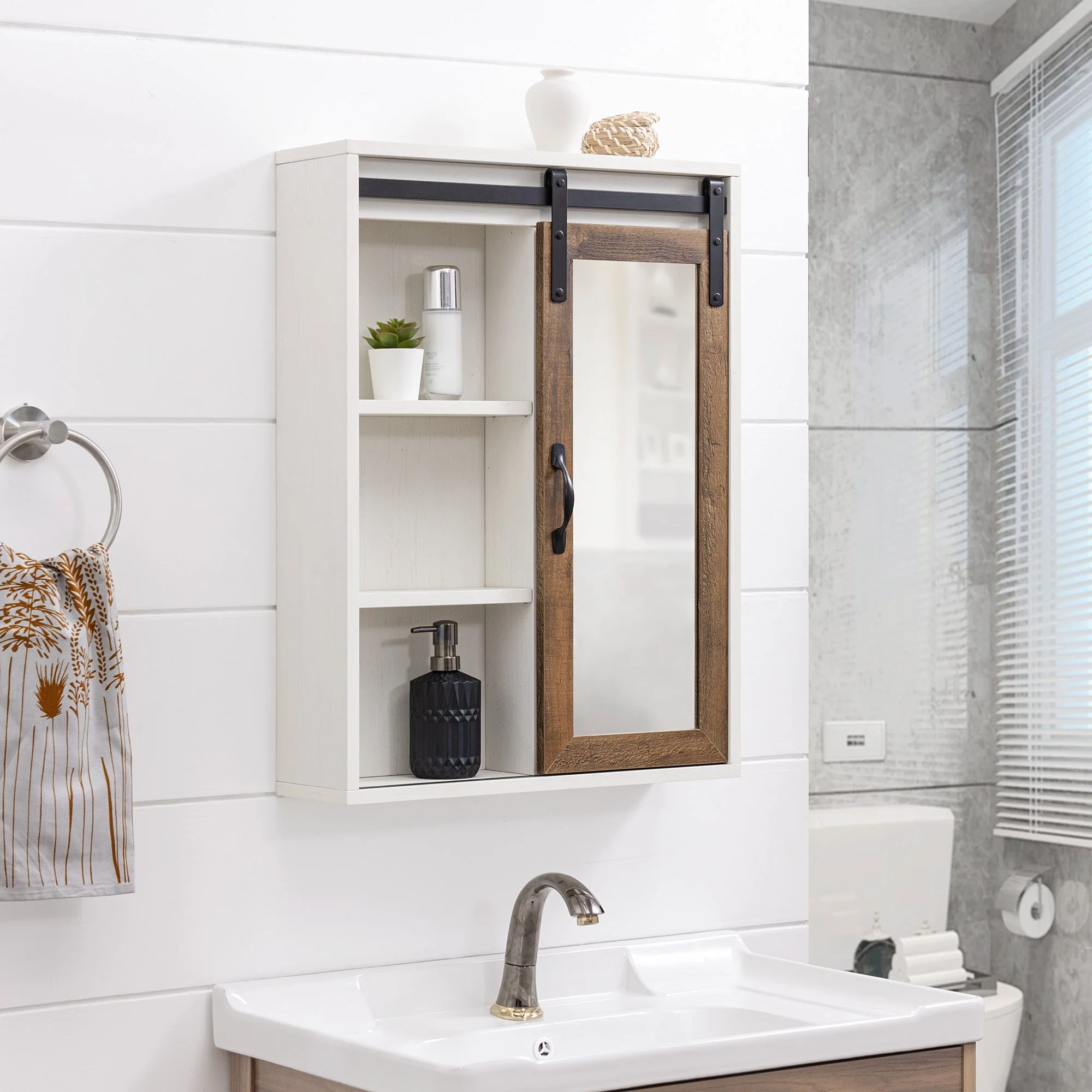 Barn Door Wall Storage with Mirror