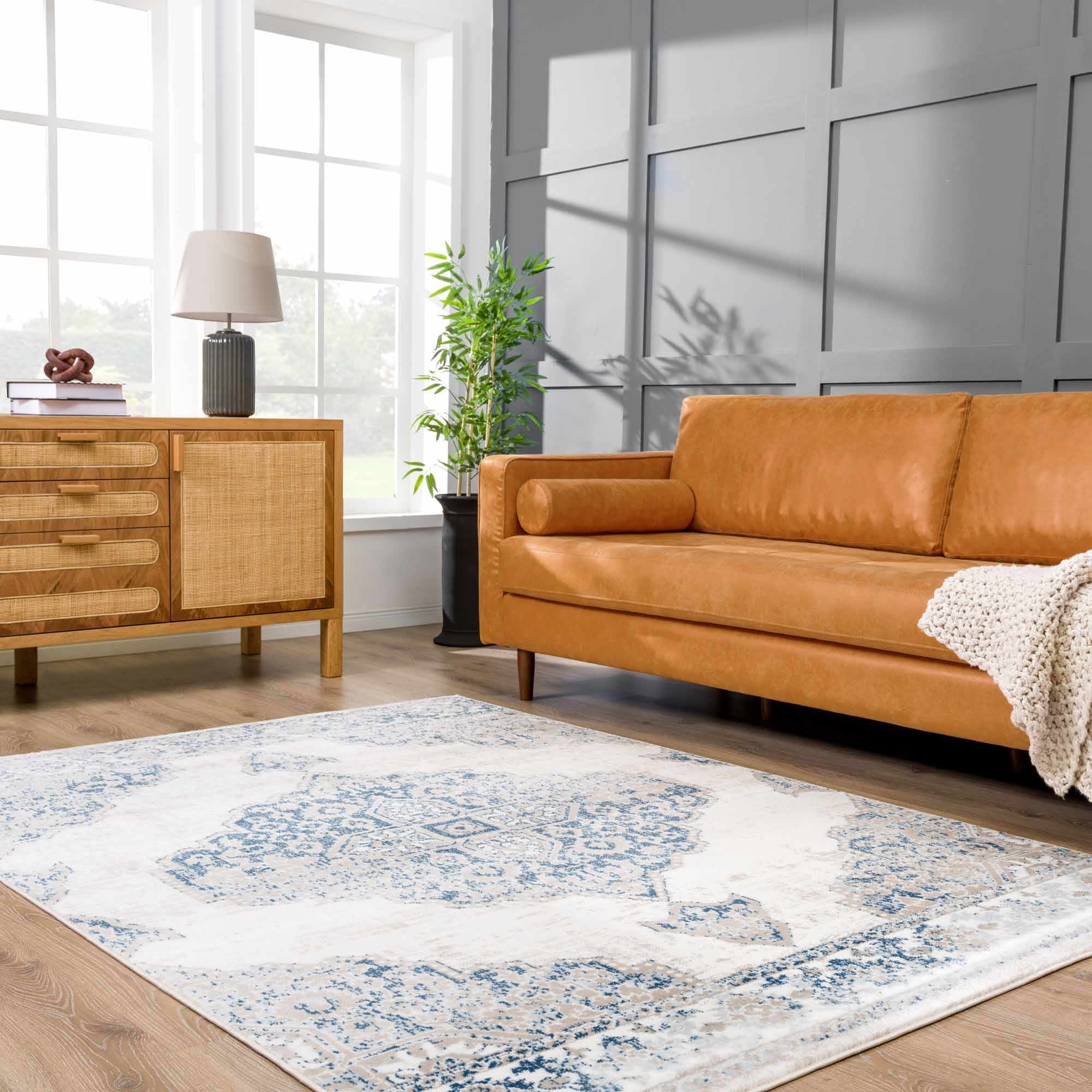 Boutique Rugs - Amir Area Rug