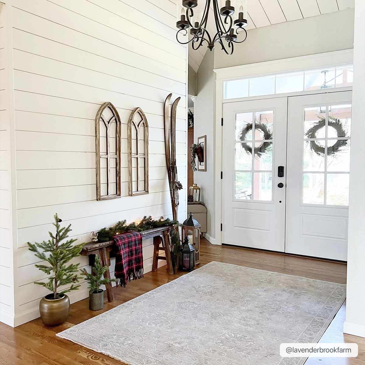 Boutique Rugs - Albuquerque Area Rug