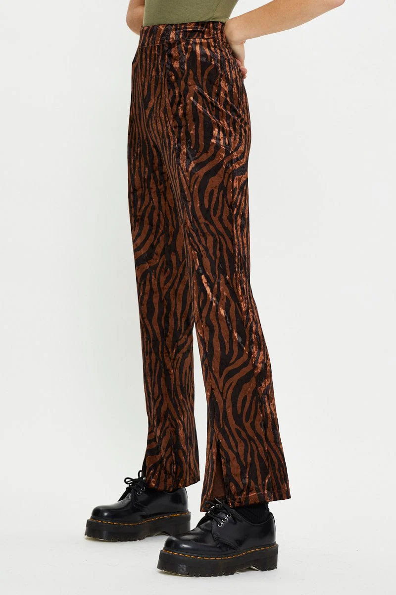 Print Man Pant