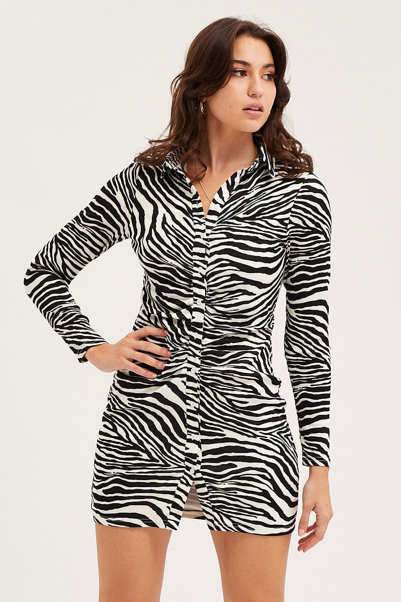 Print Mini Dress Long Sleeve Evening