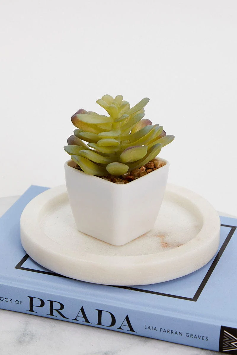 Green Artificial Potted Cactus