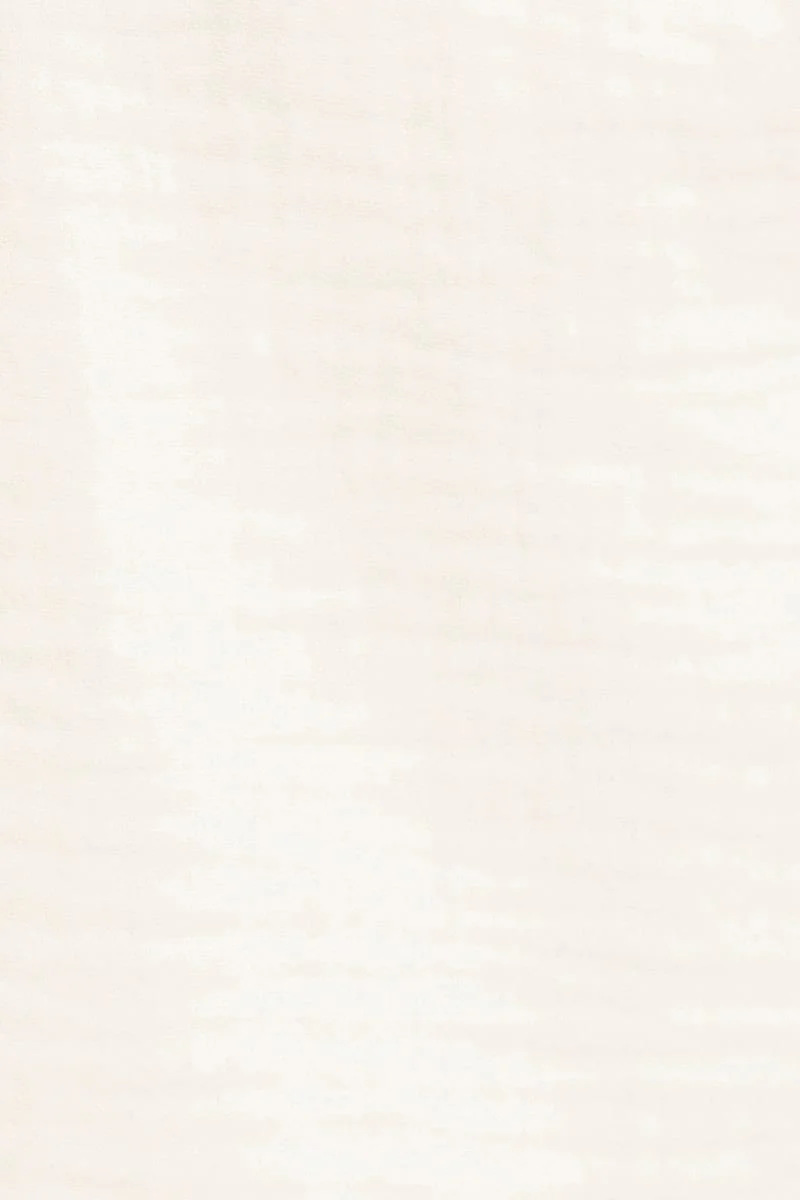 White High Waist Shorts Elastic Waist