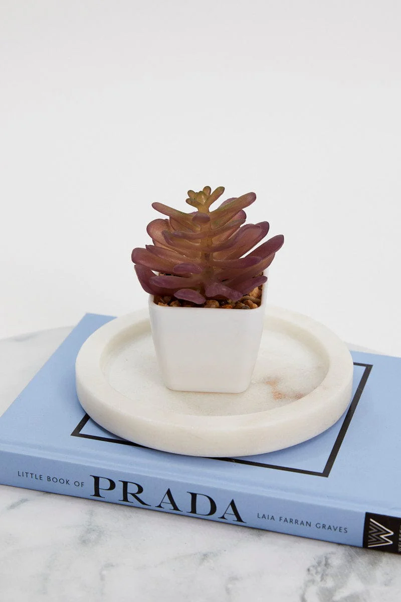 Red Artificial Potted Cactus