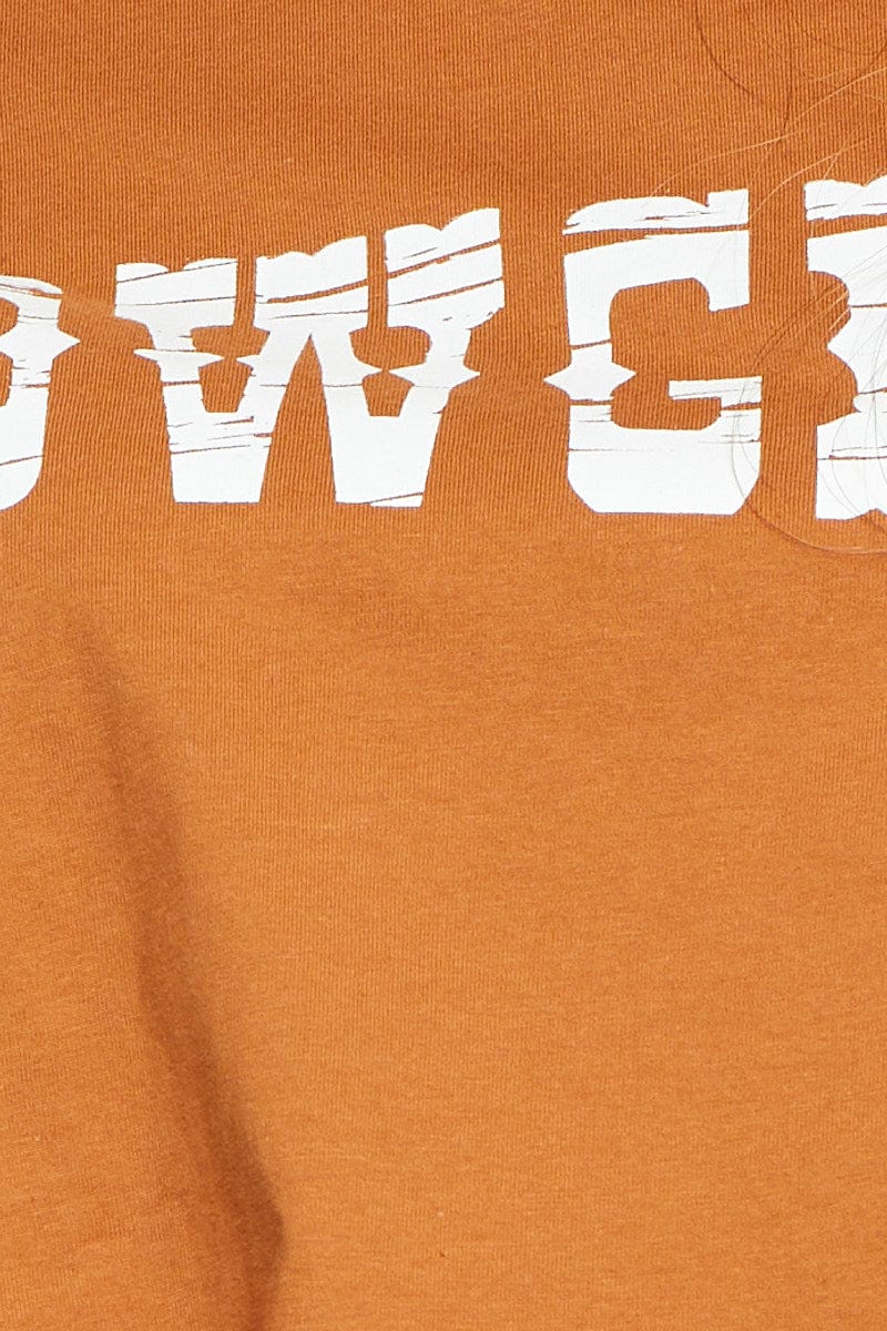 Brown Graphic T Shirt Crop