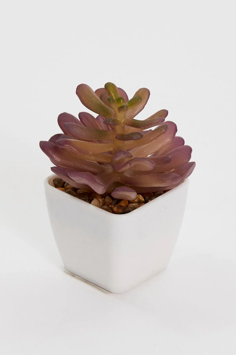 Red Artificial Potted Cactus