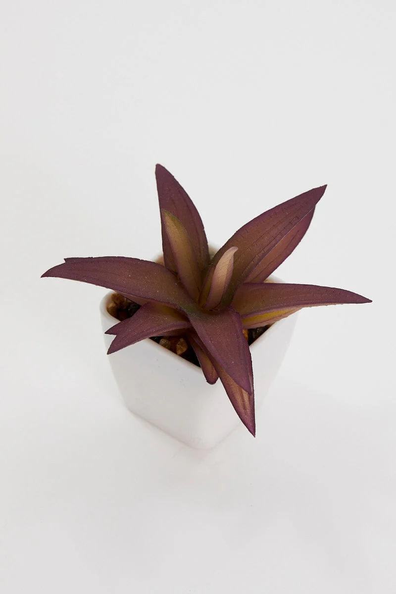 Red Artificial Potted Cactus