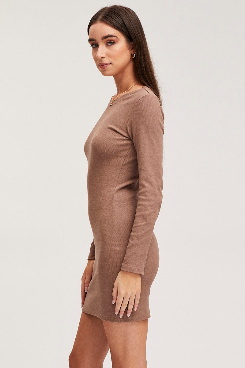 Brown Dress Long Sleeve Crew Neck