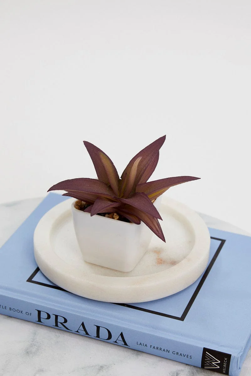Red Artificial Potted Cactus