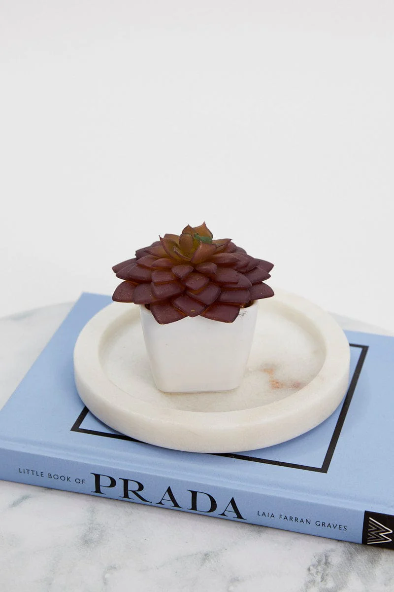 Red Artificial Potted Cactus