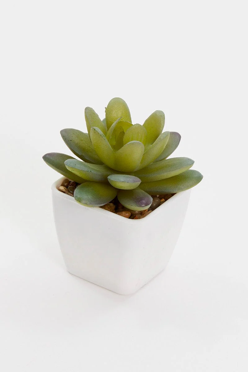 Green Artificial Potted Cactus