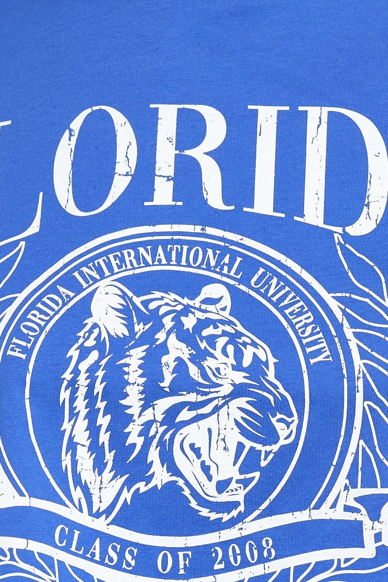 Blue Graphic Crop Top Short Sleeve