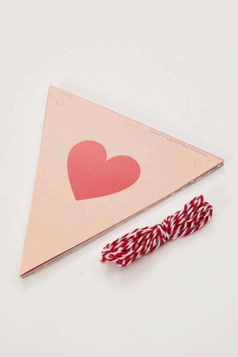 Multi Bunting Banner