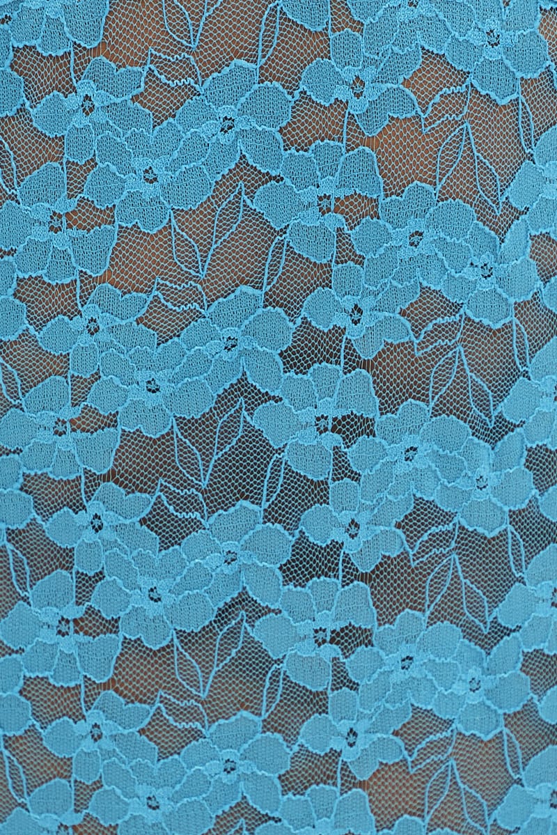 Blue Sleeveless Bodysuit V-Neck Lace