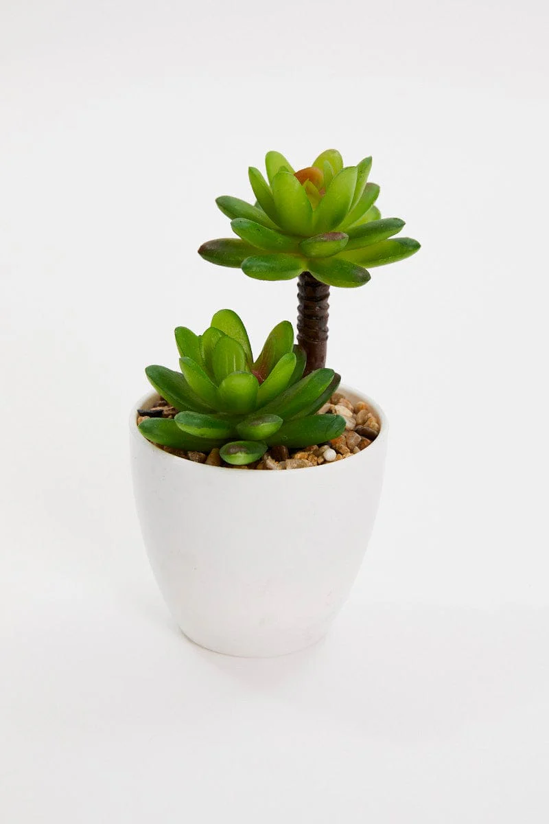Green Artificial Potted Cactus