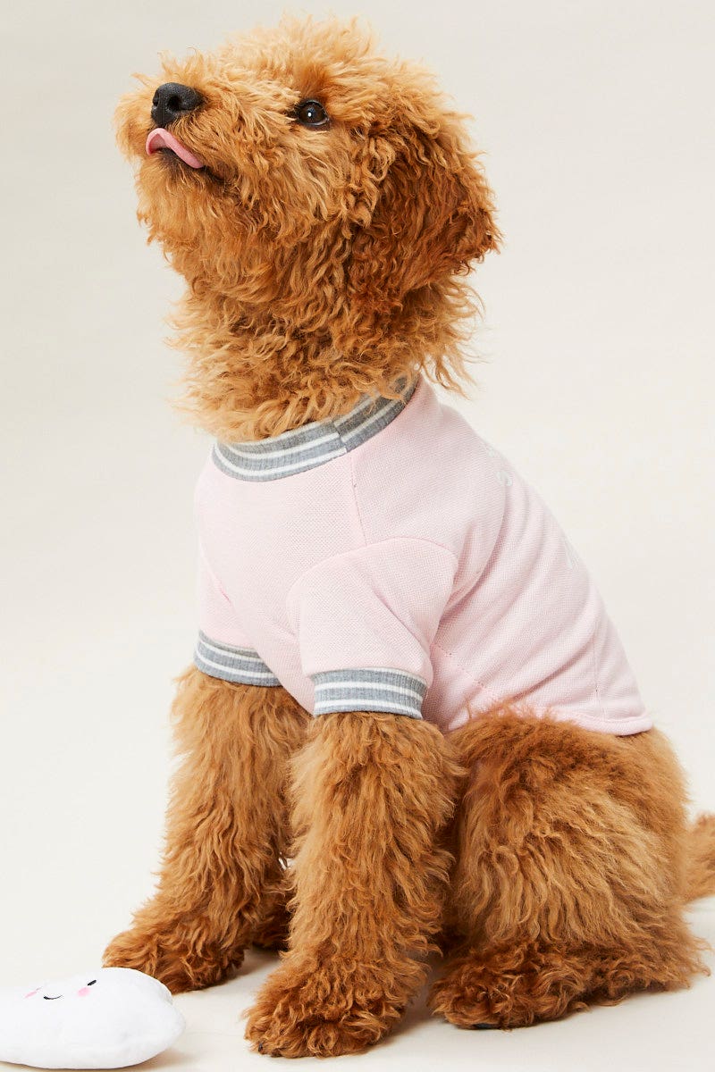 Pink Nautical Anchor Pastel Dog Jumper